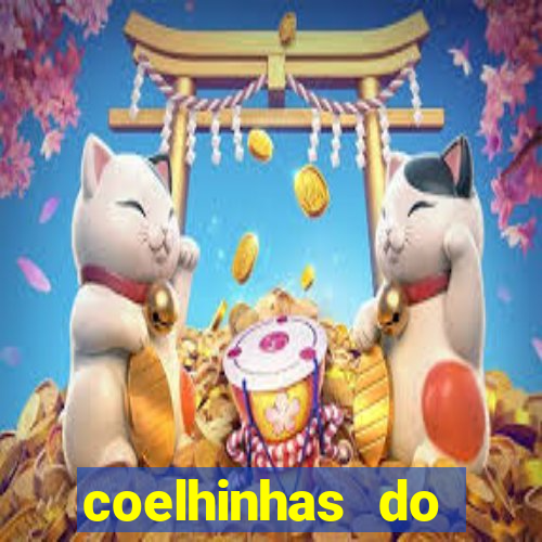 coelhinhas do brasil jp